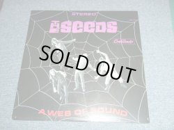 画像1: The SEEDS  - A WEB OF SOUND  (SEALED)   / US AMERICA  REISSUE "Brand New SEALED"  LP 