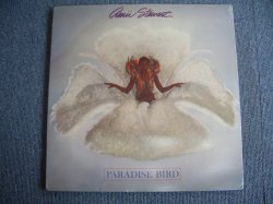 画像1: AMII STEWART - PARADISE BIRD (SEALED) / 1979 US AMERICA ORIGINAL "BRAND NEW SEALED"  LP 