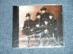 画像1: The BUCKINGHAMS - MADE IN CHICAGO  (SEALED) / 2002 UK ENGLAND ORIGINAL "BRAND NEW SEALED" CD 