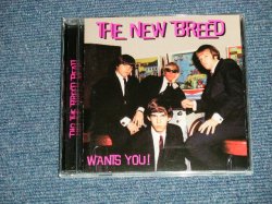 画像1: THE NEW BREED - WANTS YOU (MINT/MINT)   / 2007 ORIGINAL Used CD