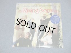 画像1: RISING SONS (Ry Cooder, Taji Mahal ) -  RISING SONS (SEALED)  / 2001  US AMERICA  "180 gram Heavy Weight" "BRAND NEW SEALED"   LP 