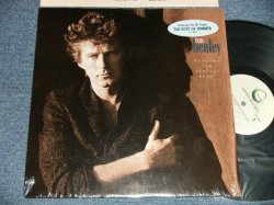 画像1: DON HENLEY of EAGLES - THE BUILDING THE PERFECT BEAST (MINT-/MINT) / 1984 US AMERICA ORIGINAL Used LP 