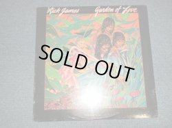 画像1: RICK JAMES - GARDEN OF LOVE  (SEALED CutOut) / 1980 US AMERICA ORIGINAL "BRAND NEW SEALED" LP 