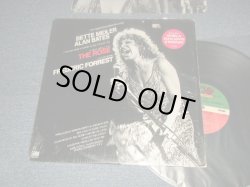 画像1: BETTE MIDLER / Original Sound Track - THE ROSE (JANIS JOPLIN) (With CUSTOM INNER SLEEVE)  (Ex++/MINT-)  / 1979 US AMERICA ORIGINAL "GREEN & RED Label" Used LP