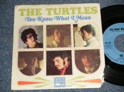 画像1: THE TURTLES - A)YOU KNOW WHAT I MEAN  B)RUGS OF WOODS & FLOWERS  VG/VG+++, Ex++Looks*Ex+++)  / 1967 US AMERI CA ORIGINAL "With PICTURE SLEEVE" Used 7"Single