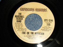 画像1: The MARSHALL TUCKER BAND - A)FIRE ON THE MOUNTAIN  B)BOB AWAY MY BLUES (Ex++/Ex++) / 1975 US AMERICA ORIGIAL Used 7" Single 