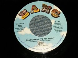 画像1: BRICK - A)That's What It's All About   B)Can't Wait (Tick Tock) (E+++/Ex+++) / 1976 US AMERICA ORIGINAL Used 7" SINGLE 