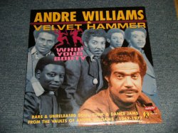 画像1: ANDRE WILLIAMS - WHIP YOUR BOOTY  (SEALED) / 2001 US AMERICA ORIGINAL ”BRAND NEW SEALED" LP 