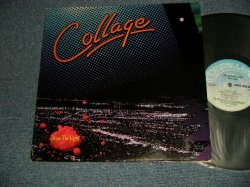 画像1: COLLAGE - SHINE THE LIGHT (Ex++/Ex++ A-4:Ex- BB) / 1985 US AMERICA ORIGINAL Used LP 