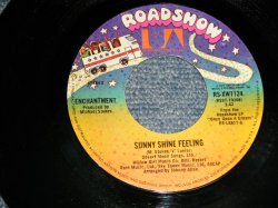 画像1: Enchantment - A) Sunny Shine Feeling  B) It's You That I Need (Ex++/Ex++)  / 1977 US AMERICA ORIGINAL Used 7" 45 rpm Single  