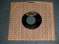 画像1: Donna Theodore - A) Why Can't I Touch You ?  B) Widow Lady (Ex+/Ex+) / 1970 US AMERICA ORIGINAL  Used 7" 45 rpm Single  