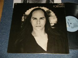 画像1:  DAVID FORMAN -  DAVID FORMAN (With CUSTOM INNER SLEEVE) (Ex+++/MINT-) / 1976 US AMERICA ORIGINAL Used LP