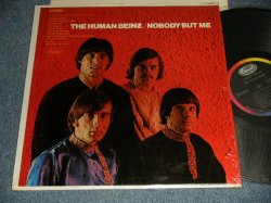 画像1: HUMAN BEINZ - NOBODY BUT ME (EdfDGE APLIT/Ex++) / 1968 US AMERICA ORIGINAL STEREO Used LP