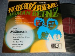 画像1: HUMAN BEINZ(A) / MAMMALS (B)  - NOBODY BUT ME (Ex++/Ex++ Looks:MINT- EDSP) / 1968 US AMERICA ORIGINAL Used LP