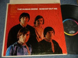 画像1: HUMAN BEINZ - NOBODY BUT ME (Ex++/Ex++/Ex++ Looks:Ex++ EDSP) / 1968 US AMERICA ORIGINAL STEREO Used LP