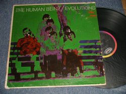 画像1: HUMAN BEINZ - EVOLUTIONS (VG++/Ex++ B-1:VG++ WTRDMG, BB HOLES, EDSP) / 1968 US AMERICA original STEREO Used LP