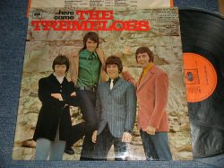 画像1: THE TREMELOES - HERE COMES THE TREMELOES (MINT-, Ex+/Ex+++ SWOBC) /1967 UK ENGLAND ORIGINAL Used LP 