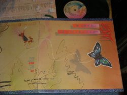 画像1: HEART - DOG & BUTTERFLY (With CUSTOM INNER SLEEVE)  (MINT-/MINT-) / 1978 US AMERICA ORIGINAL Used LP