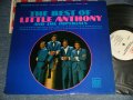 LITTLE ANTHONY & THE IMPERIALS - THE BEST OF (Ex++/Ex++ Looks:Ex+ EDSP)  / 1965 US AMERICA ORIGINAL STEREO  Used LP 