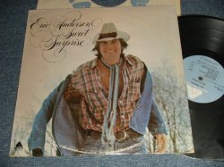 画像1: ERIC ANDERSEN - SWEET SURPRISE (Ex/MINT-) / 1976 US ORIGINAL Used LP