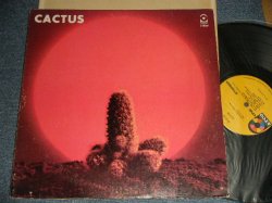 画像1: CACTUS -  CACTUS (CTH / TERRE HAUTE Press in INDIANA) (Ex++/Ex++ EDSP) / 1970 US AMERICAN ORIGINAL 1st Press "YELLOW with 1841 BROADWAY label"  Used LP 