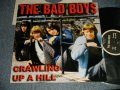 THE BAD BOYS - CRAWLING UP A HILL60's ITALIAN BEAT GARAGE)  (MINT-/MINT) / ITALIA  IATALY ORIGINAL Used LP 