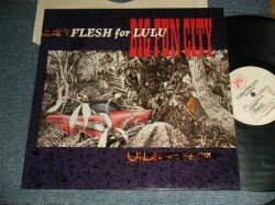 画像1: FRESH FOR LULU - BIG FUN CITY (80's UK ALTANATE)  (MINT-/MINT) / 1985 UK ENGLAND ORIGINAL Used LP 