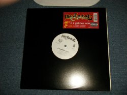 画像1: LIMP BIZKIT - N 2 Gether Now (MINT-/MINT)  / 1999 US AMERICA ORIGINAL Used 12"