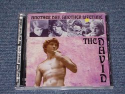 画像1: THE DAVID - ANOTHER DAY, ANOTHER LOIFETIME /  2001 US Brand New CD