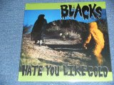 画像: BLACKS - HATE YOU LIKE GOLD  / 2000 US ORIGINAL Brand New SEALED LP