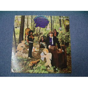 画像: THE LITTLE BOY BLUES - IN THE WOODLAND OF WEIR   / 1968   US  ORIGINAL LP