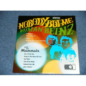 画像: HUMAN BEINZ(A) / MAMMALS (B)  - NOBODY BUT ME (MINT-/MINT-) / 1968 US AMERICA ORIGINAL Used LP