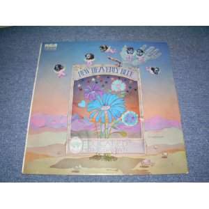 画像: NEW HEAVENLY BLUE - EDUCATED HOMEGROWN  / 1971 UK ORIGINAL LP 