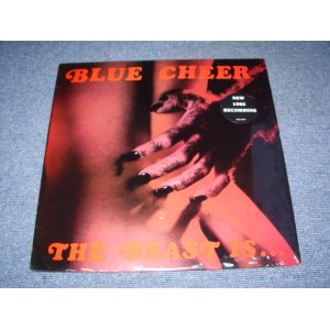 画像: BLUE CHEER - THE BEAST IS.../ 1985 US ORIGINAL LP