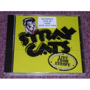 画像: STRAY CATS - RECORDED LIVE IN LION 26TH JULY/ 2004 US ORIGINAL Sealed CD 