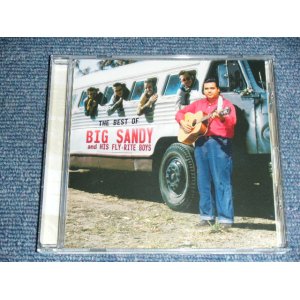 画像: BIG SANDY and THE FLY-RITE TRIO - THE BEST OF  / 2011 US ORIGINAL BRAND NEW CD  