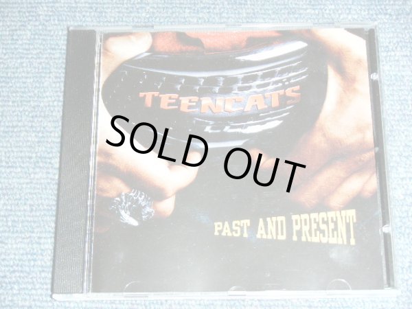 画像1: TEENCATS - PAST AND PRESENT / 1994 SWEDEN ORIGINAL BRAND NEW CD  