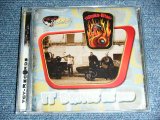 画像: SNAKE-BITE - IT DRIVES ME WILD / 2000's? SWITZERLAND  Press Brand New CD  