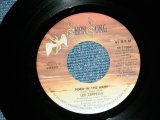 画像: LED ZEPPELIN - FOOL IN THE RAIN   / 1979 US ORIGINAL Used 7" Single With COMPANY SLEEVE 