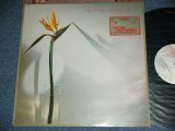 画像: NEW MUSIC - from A to B   / 1980 UK ORIGINAL Used LP 