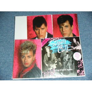 画像: STRAY CATS - BRING IT BACK AGAIN ( With POST CARDS : MINT-/MINT- ) / 1989 UK ENGLAND ORIGINAL Used 7" Single 