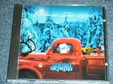 画像: LYNYRD SKYNYRD - CHRISTMAS TIME AGAIN   / 2000 US BRAND NEW SEALED  CD 