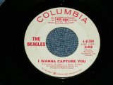 画像: THE BEAGLES - I WANNA CAPTURE YOU / 1966 US AMERICA  ORIGINAL White Label PROMO Used  7" Single 