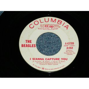 画像: THE BEAGLES - I WANNA CAPTURE YOU / 1966 US AMERICA  ORIGINAL White Label PROMO Used  7" Single 