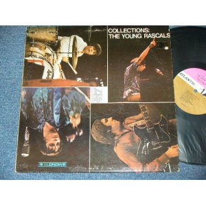 画像: YOUNG RASCALS - COLLECTION  ( Ex+/Ex+++ ) / 1966 US AMERICA ORIGINAL PURPLE & BROWN Label MONO Used LP 