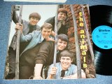 画像: The ANIMALS -  THE ANIMALS / UK ENGLAND Reissue Used LP 