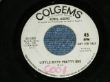 画像: JEWEL AKENS - LITTLE BITTY PRETTY ONE   / 1967 US AMERICA  ORIGINAL White Label PROMO Used  7" Single 