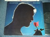 画像: CELESTIUM ( Produced by GARY USHER ) - SANCTUARY ( Ex+/MINT- ) / 1984 US AMERICA ORIGINAL PROMO Used LP 