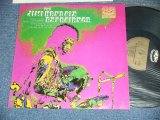 画像: JIMI HENDRIX - THE JIMI HENDRIX EXPERIENCE / 1970's? WEST-GERMANY GERMAN ORIGINAL  Used  LP 