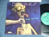 画像: DINOSAUR JR - FEEL THE PAW   / 1994 UK ENGLAND ORIGINAL "LIMITED # 01351" ETHCHED DISC ONE SIDED Used 10" inch LP